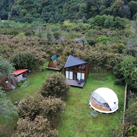 Отель Dumbo Eco Camp Ozurget'i Экстерьер фото
