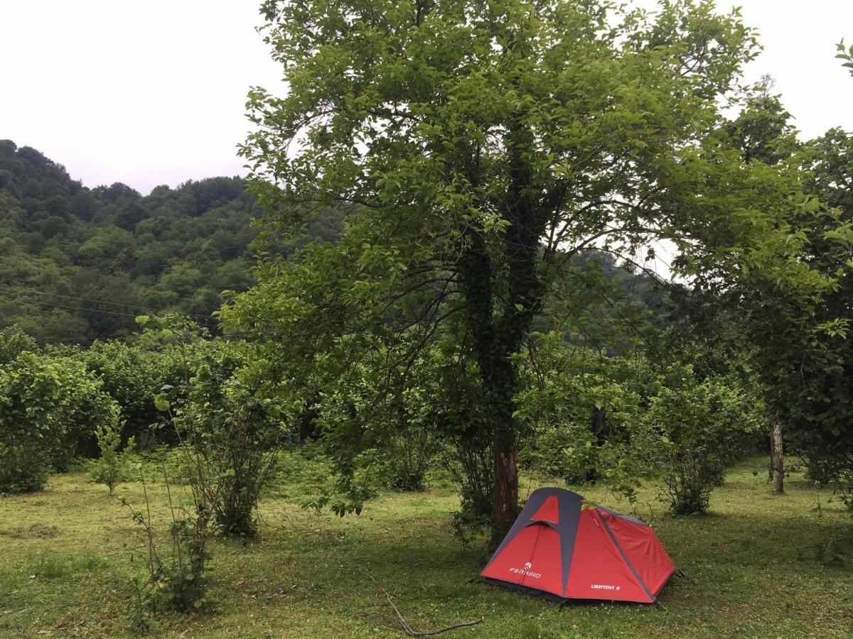 Отель Dumbo Eco Camp Ozurget'i Экстерьер фото
