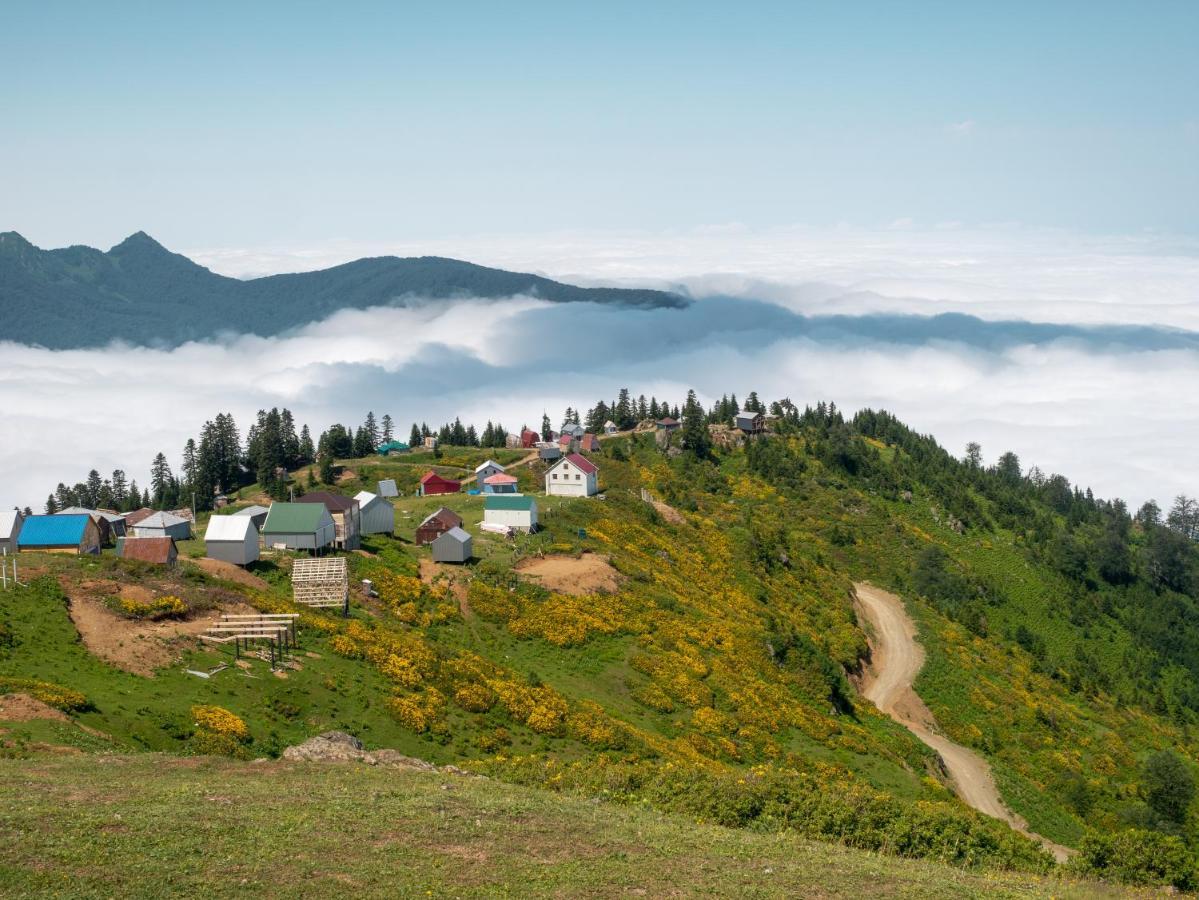Отель Dumbo Eco Camp Ozurget'i Экстерьер фото