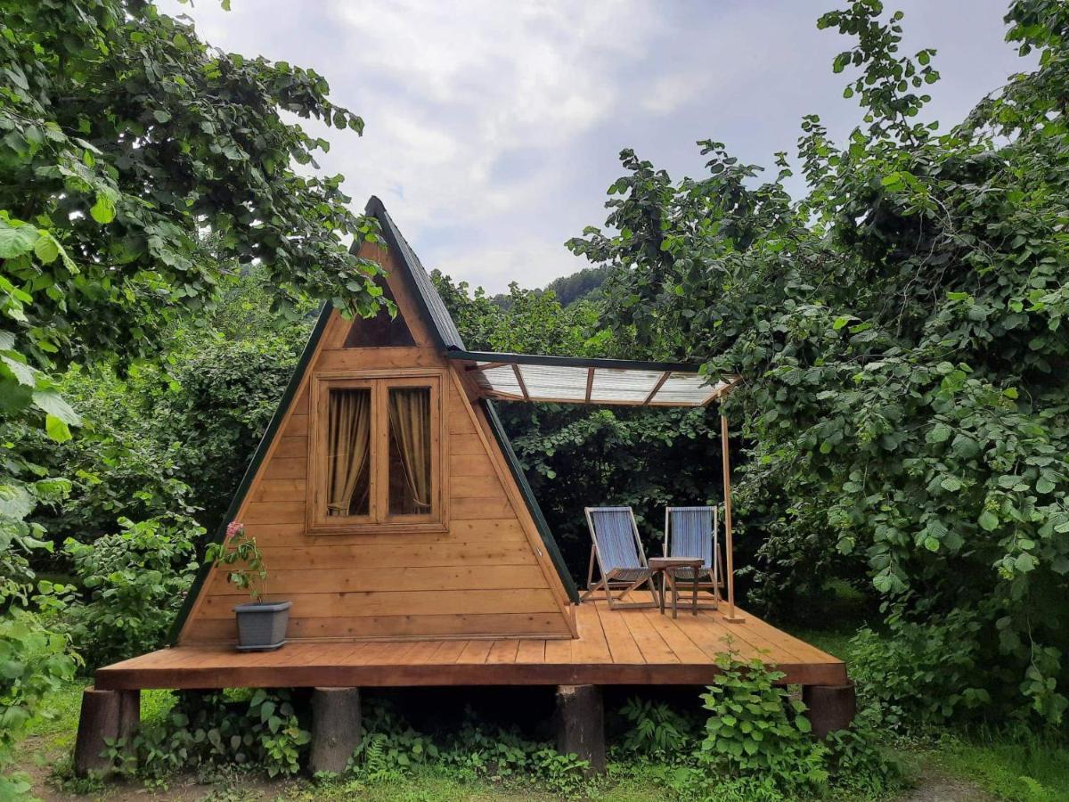 Отель Dumbo Eco Camp Ozurget'i Экстерьер фото
