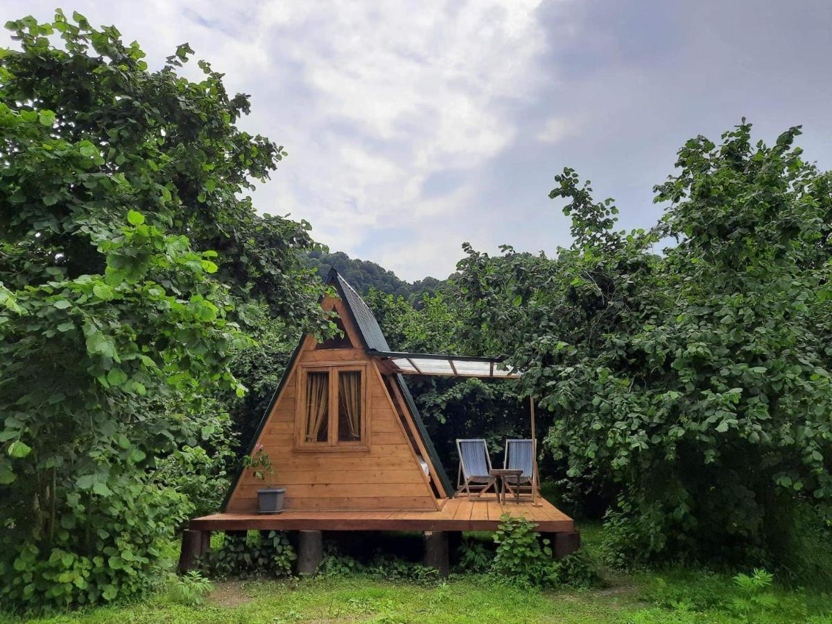 Отель Dumbo Eco Camp Ozurget'i Экстерьер фото