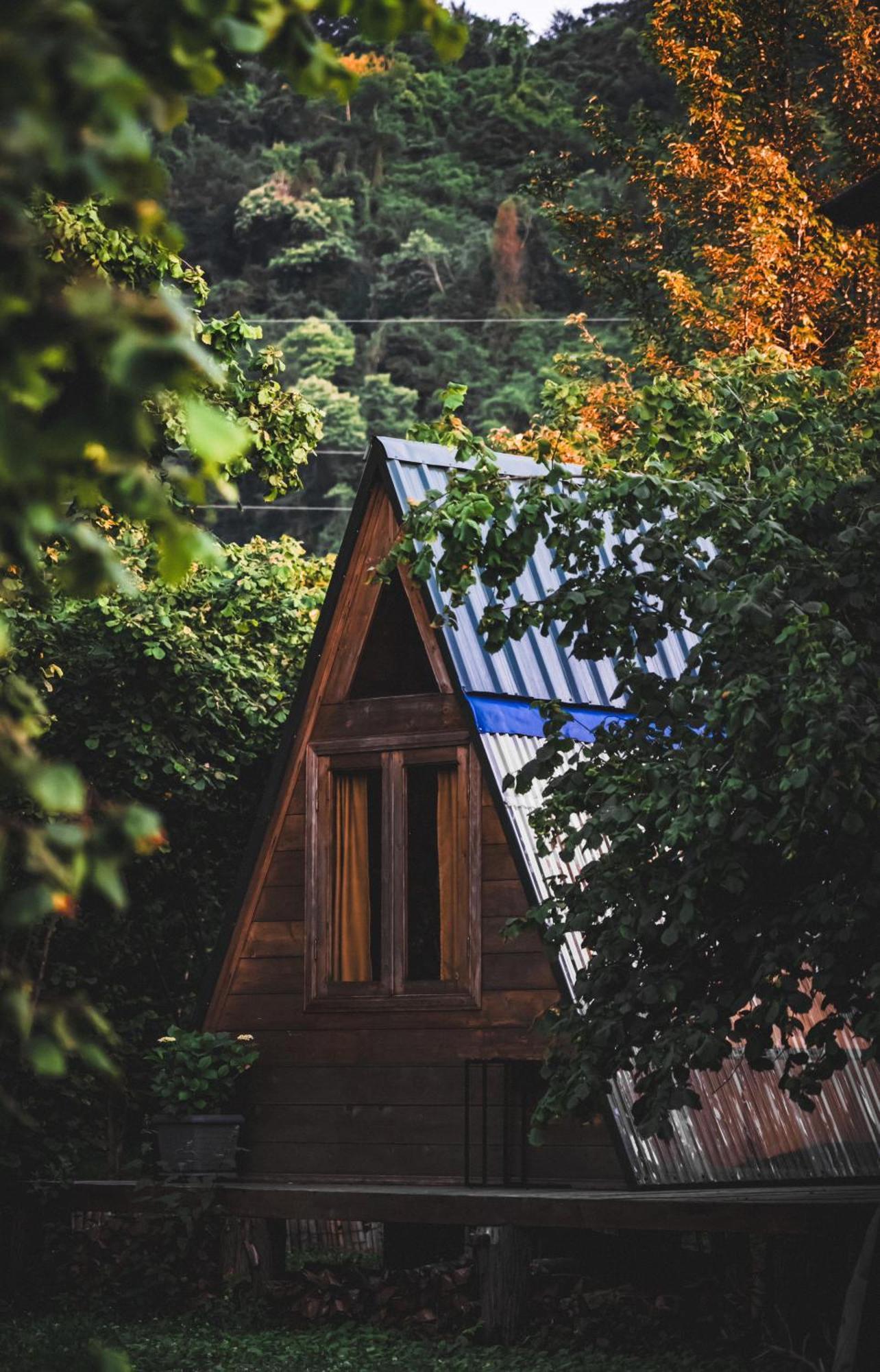 Отель Dumbo Eco Camp Ozurget'i Экстерьер фото